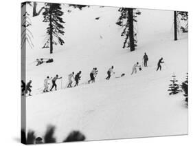 Ski Slope at Squaw Valley During Winter Olympics-George Silk-Stretched Canvas