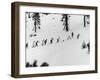 Ski Slope at Squaw Valley During Winter Olympics-George Silk-Framed Premium Photographic Print