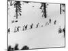 Ski Slope at Squaw Valley During Winter Olympics-George Silk-Mounted Premium Photographic Print