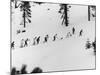 Ski Slope at Squaw Valley During Winter Olympics-George Silk-Mounted Photographic Print
