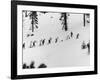 Ski Slope at Squaw Valley During Winter Olympics-George Silk-Framed Photographic Print