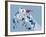 Ski Slopes-null-Framed Giclee Print