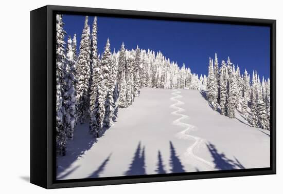 Ski Tracks Off of Lodi at Whitefish, Mountain Resort, Montana, Usa-Chuck Haney-Framed Stretched Canvas