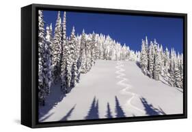 Ski Tracks Off of Lodi at Whitefish, Mountain Resort, Montana, Usa-Chuck Haney-Framed Stretched Canvas