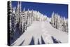 Ski Tracks Off of Lodi at Whitefish, Mountain Resort, Montana, Usa-Chuck Haney-Stretched Canvas