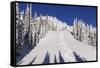 Ski Tracks Off of Lodi at Whitefish, Mountain Resort, Montana, Usa-Chuck Haney-Framed Stretched Canvas