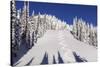 Ski Tracks Off of Lodi at Whitefish, Mountain Resort, Montana, Usa-Chuck Haney-Stretched Canvas