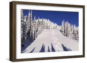 Ski Tracks Off of Lodi at Whitefish, Mountain Resort, Montana, Usa-Chuck Haney-Framed Photographic Print