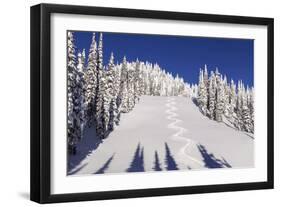 Ski Tracks Off of Lodi at Whitefish, Mountain Resort, Montana, Usa-Chuck Haney-Framed Photographic Print