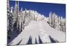 Ski Tracks Off of Lodi at Whitefish, Mountain Resort, Montana, Usa-Chuck Haney-Mounted Photographic Print