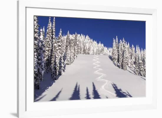 Ski Tracks Off of Lodi at Whitefish, Mountain Resort, Montana, Usa-Chuck Haney-Framed Photographic Print