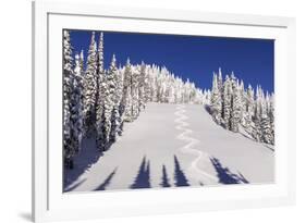 Ski Tracks Off of Lodi at Whitefish, Mountain Resort, Montana, Usa-Chuck Haney-Framed Photographic Print