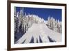 Ski Tracks Off of Lodi at Whitefish, Mountain Resort, Montana, Usa-Chuck Haney-Framed Photographic Print