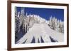 Ski Tracks Off of Lodi at Whitefish, Mountain Resort, Montana, Usa-Chuck Haney-Framed Photographic Print