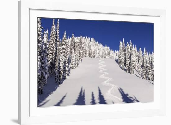 Ski Tracks Off of Lodi at Whitefish, Mountain Resort, Montana, Usa-Chuck Haney-Framed Photographic Print
