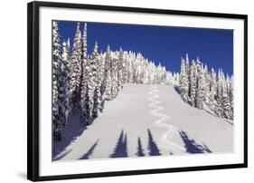 Ski Tracks Off of Lodi at Whitefish, Mountain Resort, Montana, Usa-Chuck Haney-Framed Photographic Print