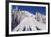 Ski Tracks Off of Lodi at Whitefish, Mountain Resort, Montana, Usa-Chuck Haney-Framed Photographic Print