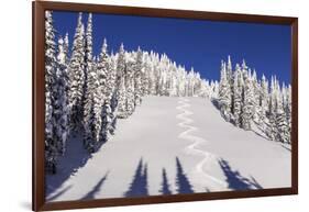 Ski Tracks Off of Lodi at Whitefish, Mountain Resort, Montana, Usa-Chuck Haney-Framed Photographic Print