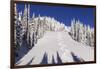 Ski Tracks Off of Lodi at Whitefish, Mountain Resort, Montana, Usa-Chuck Haney-Framed Premium Photographic Print