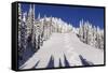 Ski Tracks Off of Lodi at Whitefish, Mountain Resort, Montana, Usa-Chuck Haney-Framed Stretched Canvas