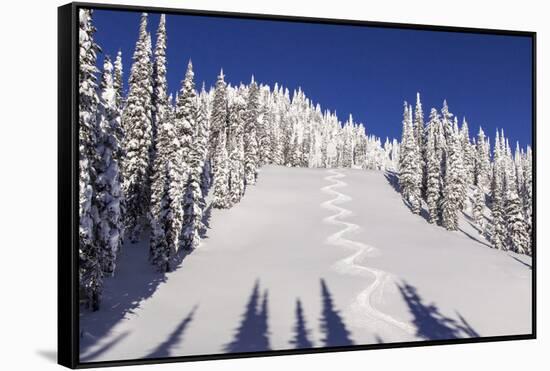 Ski Tracks Off of Lodi at Whitefish, Mountain Resort, Montana, Usa-Chuck Haney-Framed Stretched Canvas