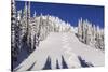 Ski Tracks Off of Lodi at Whitefish, Mountain Resort, Montana, Usa-Chuck Haney-Stretched Canvas