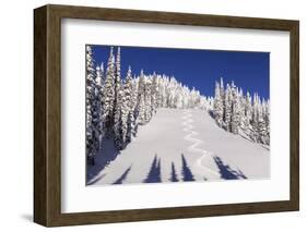 Ski Tracks Off of Lodi at Whitefish, Mountain Resort, Montana, Usa-Chuck Haney-Framed Photographic Print