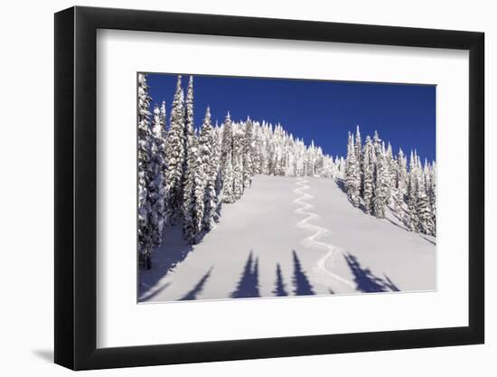 Ski Tracks Off of Lodi at Whitefish, Mountain Resort, Montana, Usa-Chuck Haney-Framed Premium Photographic Print