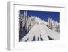 Ski Tracks Off of Lodi at Whitefish, Mountain Resort, Montana, Usa-Chuck Haney-Framed Premium Photographic Print