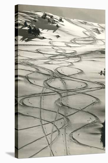 Ski Trails in Snow-null-Stretched Canvas