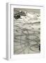 Ski Trails in Snow-null-Framed Premium Giclee Print