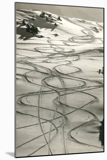 Ski Trails in Snow-null-Mounted Premium Giclee Print