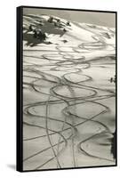 Ski Trails in Snow-null-Framed Stretched Canvas