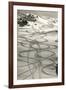 Ski Trails in Snow-null-Framed Art Print