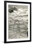 Ski Trails in Snow-null-Framed Art Print