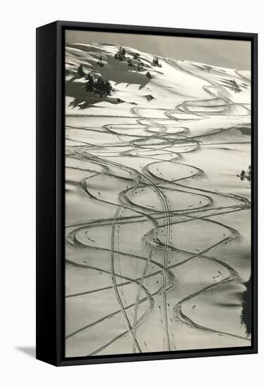 Ski Trails in Snow-null-Framed Stretched Canvas