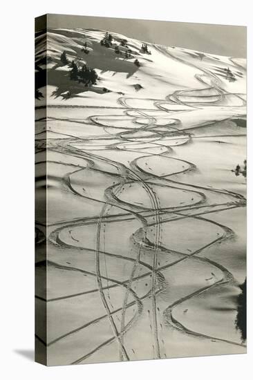 Ski Trails in Snow-null-Stretched Canvas