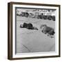 Skid Row San Francisco-null-Framed Art Print