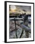 Skidoo-Jim Crotty-Framed Photographic Print