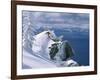 Skier Atop a Mountain-null-Framed Photographic Print