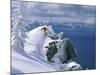 Skier Atop a Mountain-null-Mounted Photographic Print
