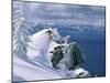 Skier Atop a Mountain-null-Mounted Photographic Print