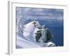 Skier Atop a Mountain-null-Framed Photographic Print