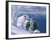 Skier Atop a Mountain-null-Framed Photographic Print