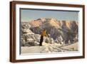 Brown Frame