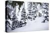 Skier Drops An Air In The Backcountry Near Mount Baker Ski Area During A Huge Winter Storm Cycle-Jay Goodrich-Stretched Canvas