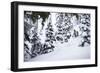 Skier Drops An Air In The Backcountry Near Mount Baker Ski Area During A Huge Winter Storm Cycle-Jay Goodrich-Framed Photographic Print