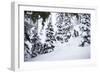Skier Drops An Air In The Backcountry Near Mount Baker Ski Area During A Huge Winter Storm Cycle-Jay Goodrich-Framed Photographic Print