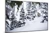 Skier Drops An Air In The Backcountry Near Mount Baker Ski Area During A Huge Winter Storm Cycle-Jay Goodrich-Mounted Photographic Print