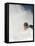 Skier in deep powder at Alta, Utah-Lee Cohen-Framed Stretched Canvas